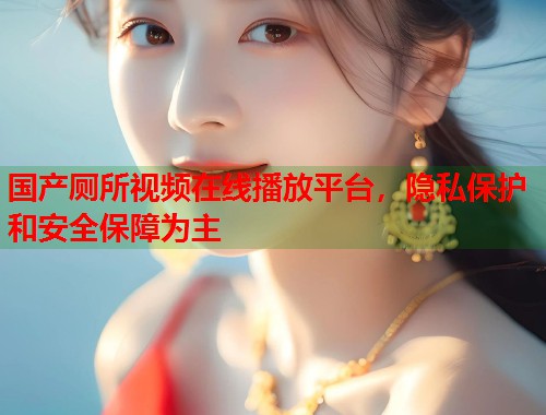 国产厕所视频在线播放平台，隐私保护和安全保障为主
