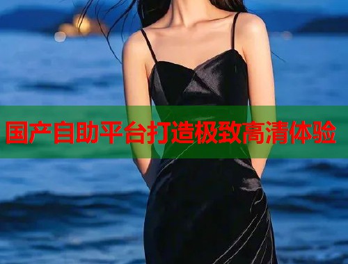 国产自助平台打造极致高清体验
